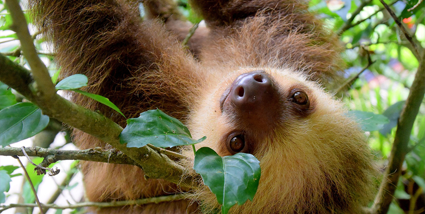 Costa Rica